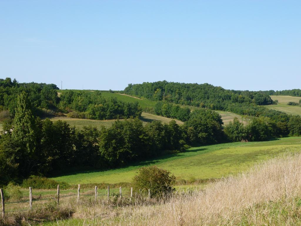 Bed and Breakfast Ancien Haras de la Tour Lamothe-Landerron Exterior foto