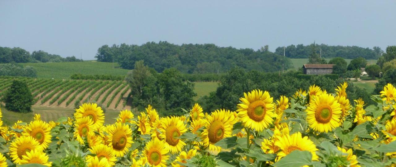Bed and Breakfast Ancien Haras de la Tour Lamothe-Landerron Exterior foto